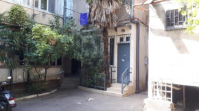 palma